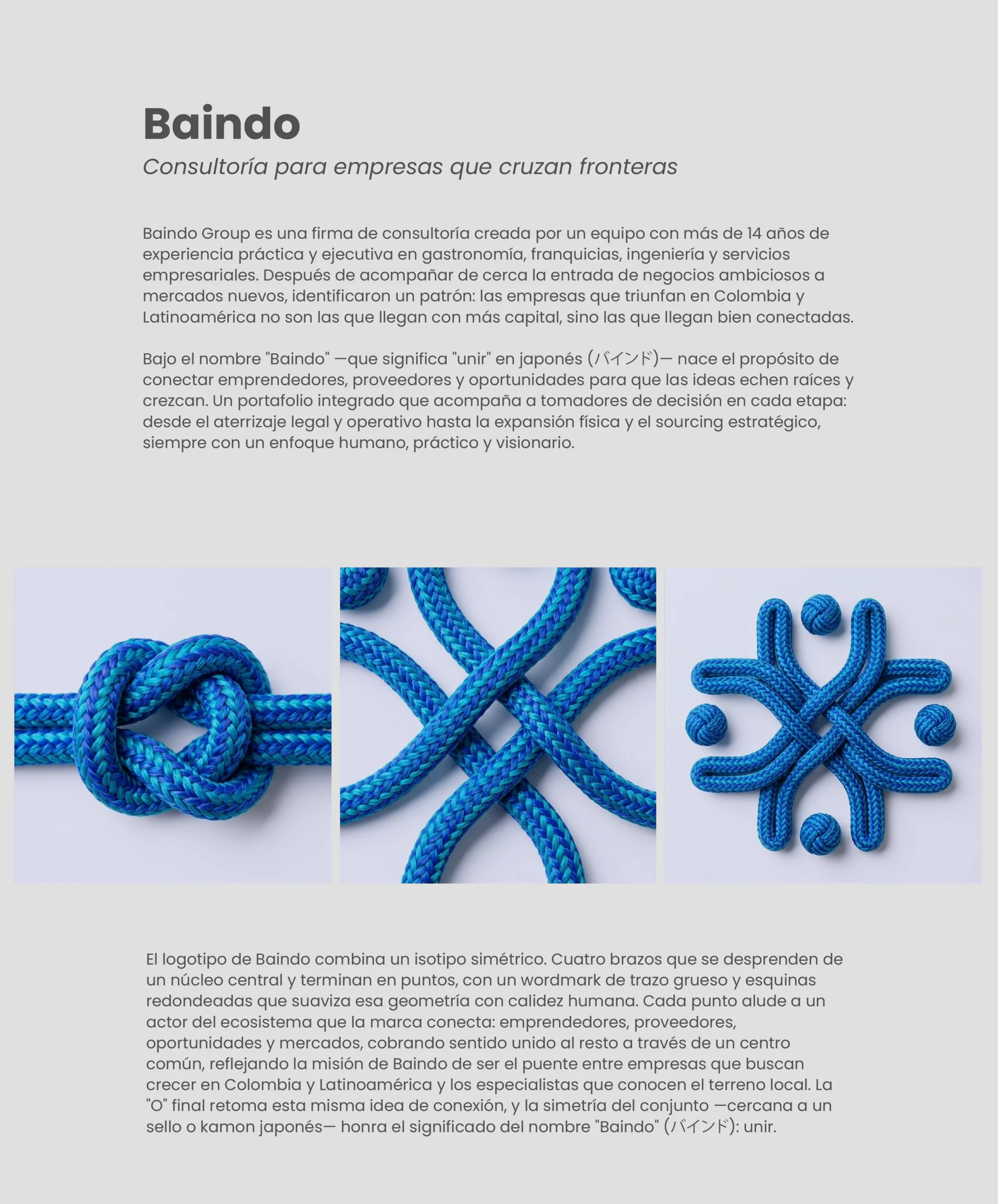 Baindo - Sistema de patrones y texturas del símbolo