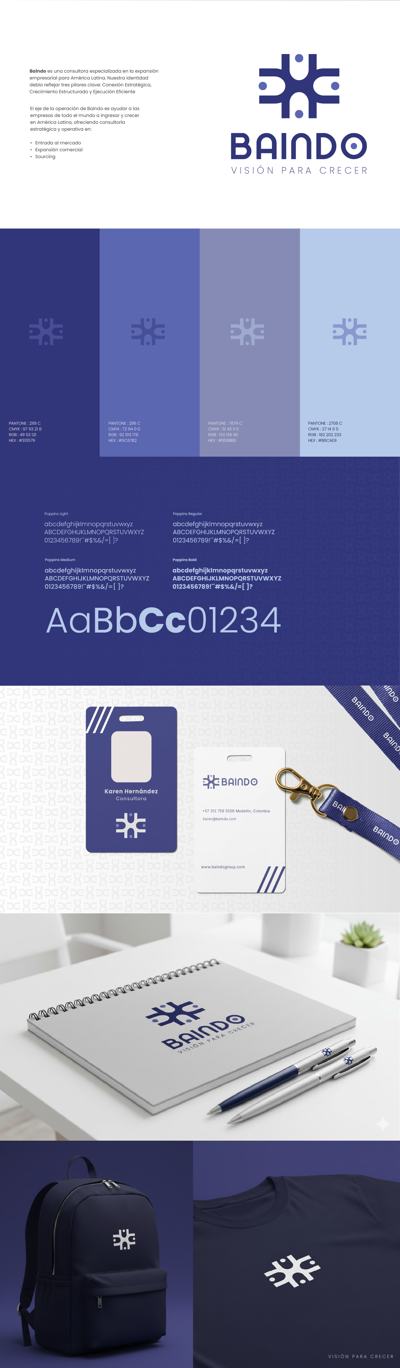 Baindo brand identity board — logo, color palette, typography, stationery and merchandising